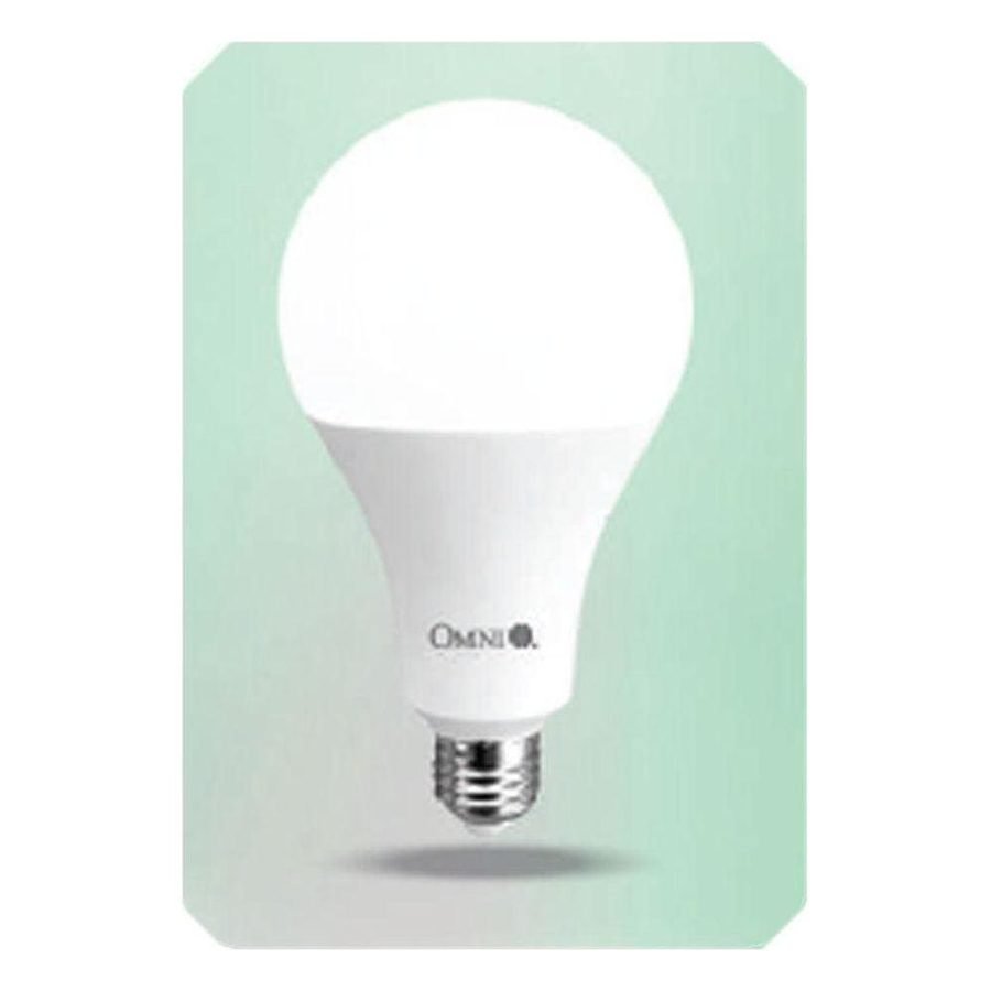 Omni 20W LED A95 Light Bulb 12V