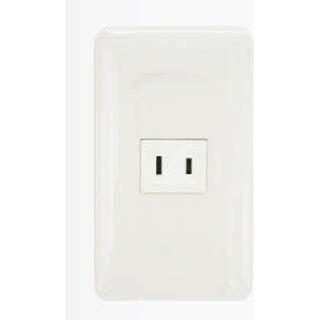 Omni Omni P1-ER-PK Regular Outlet In Plate (Flush Type), Electrical Supply Switches & Outlets — Southend Philippines