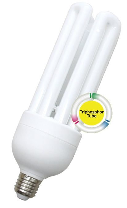 Omni Quad Lamp Light