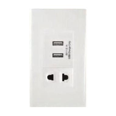 Omni Omni WP3-WUSB/WU USB Charger Outlet And Universal Outlet In White Plate , Electrical Supply Switches & Outlets — Southen
