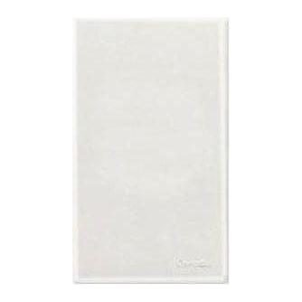 Omni Omni WWP-100 Blank Plate (Wide Series), Electrical Supply Switches & Outlets — Southend Philippines