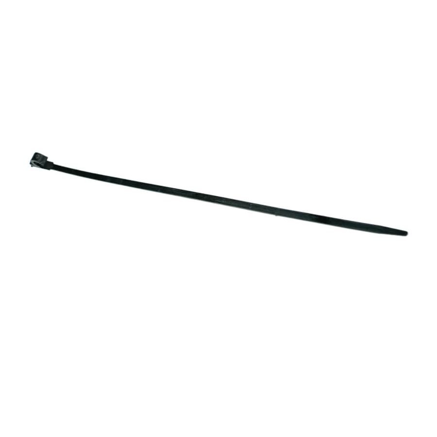 Plastic Belt