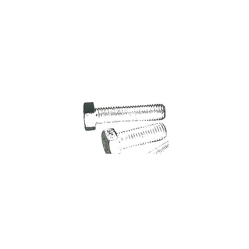 ASTM A-307 Hex Cap Screw, Metal Fabrication Cap Screws — Southend Philippines