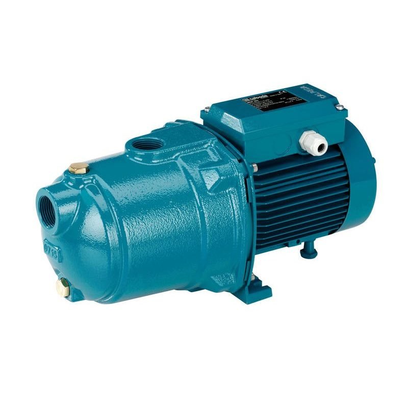 Calpeda NGLM 2/80 Self-Priming Jet Water Pump (3/4HP), Pumps & Motors Booster & Jet — Southend Philippines