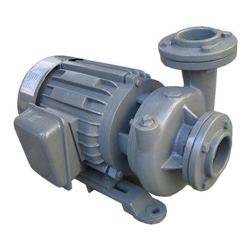 Evergush Close Coupled Vortex Centrifugal Pump, Pumps & Motors Submersible Pumps — Southend Philippines