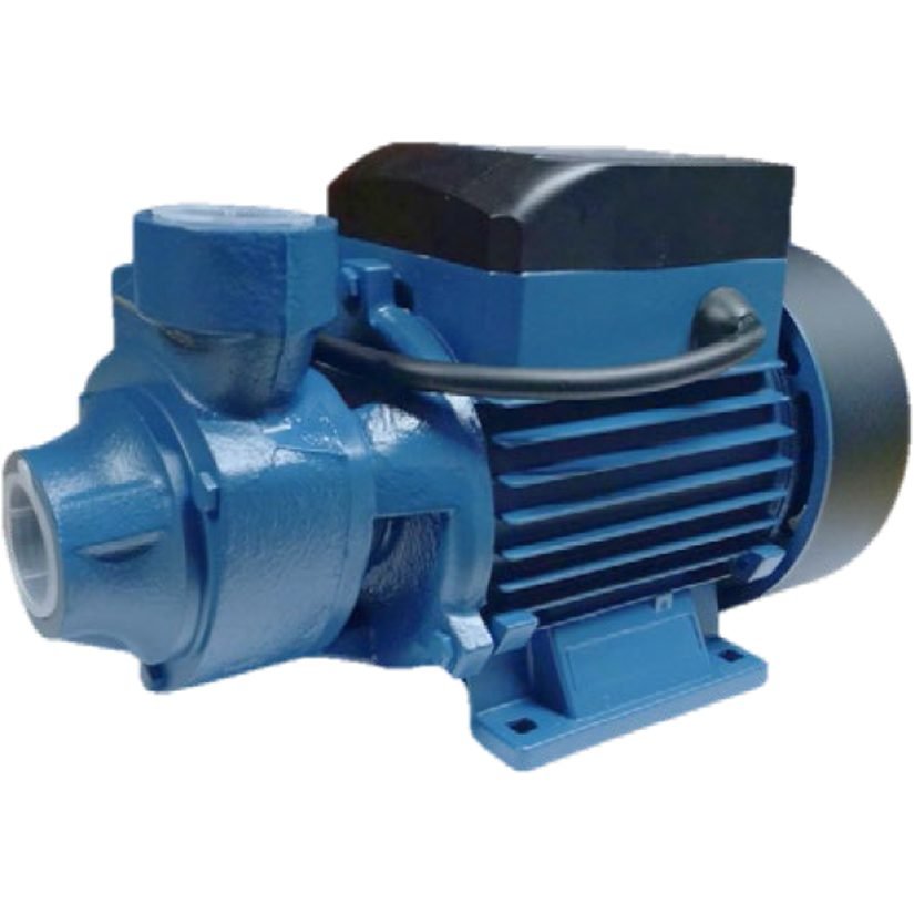 Hoover Hoover HPP-60 Peripheral Pump 0.5HP, Pumps & Motors Submersible Pumps — Southend Philippines