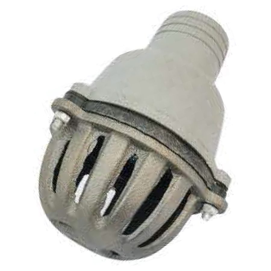 MT Foot Valve For Water Pump (Cast Iron), Pumps & Motors Pumps — Southend Philippines