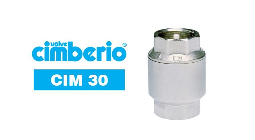 Cim 30 Sprint Spring-Loaded Check Valve, Valves Check Valves — Southend Philippines