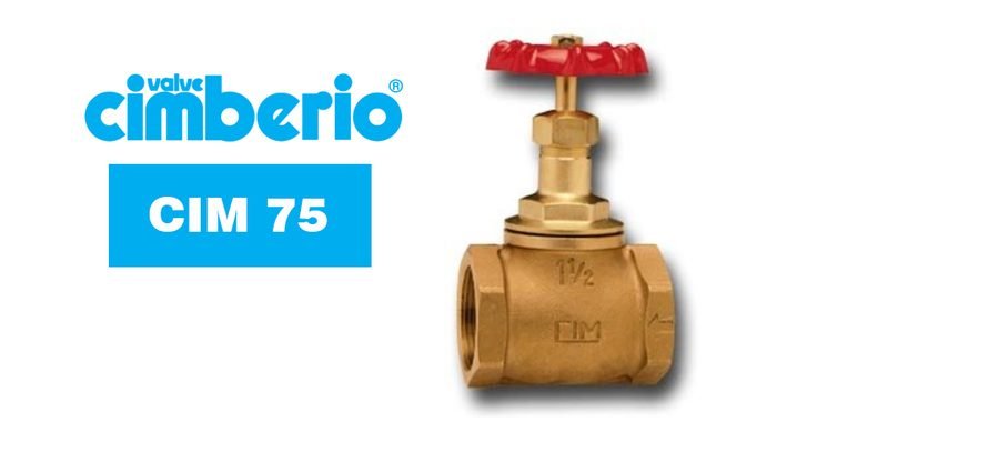 Cim 75 Bronze Globe Valve Metal To Metal Seating, Valves Globe Valves — Southend Philippines