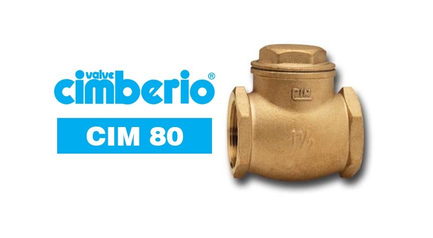 Cim 80NW Brass Swing Check Valve – Metal To Metal Seating, Valves Check Valves — Southend Philippines