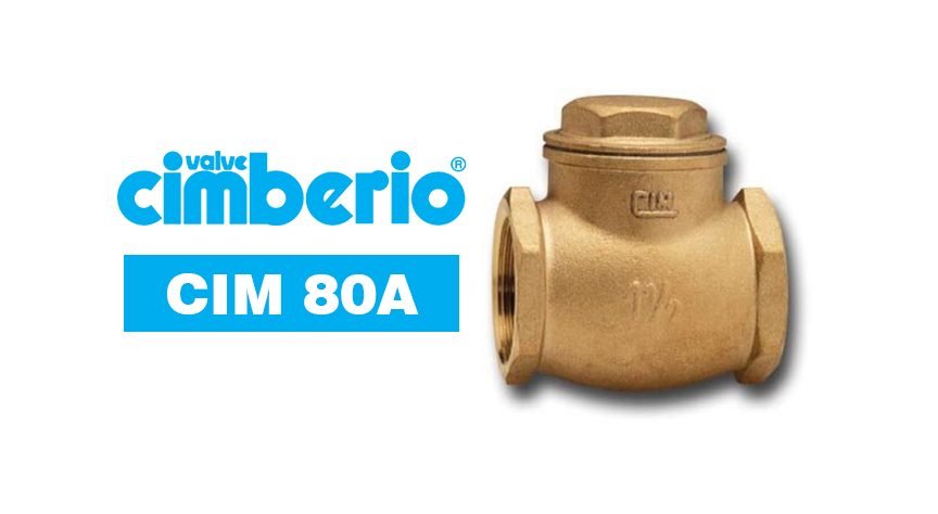 Cim 80A Brass Swing Check Valve, Valves Check Valves — Southend Philippines