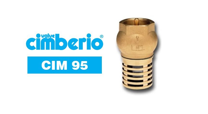 Cimberio Cim 95 Filtering Foot Valve, Valves Check & Foot Valves — Southend Philippines