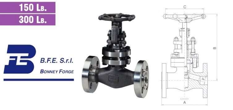 Globe Type- Bolted Bonnet- 150 Lb. & 300 Lb. Valves