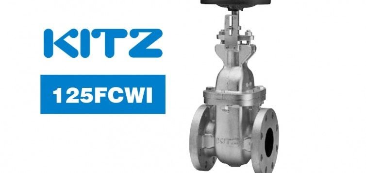 Kitz 125FCWI Cast Iron Gate Valve