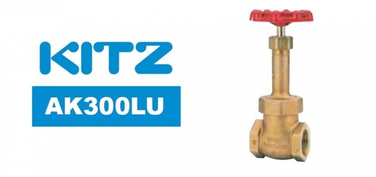 Kitz AK300LU Bronze Gate Valve