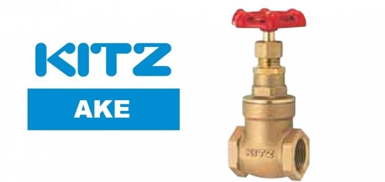 Kitz AKE Bronze Gate Valve