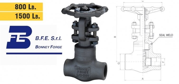Bonney Forge Welded Bonnet Gate – 800 Lb. & 1500 Lb. Valves, Welding Supplies — Southend Philippines
